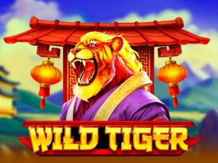wild tiger
